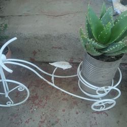 Plant And Bicycle