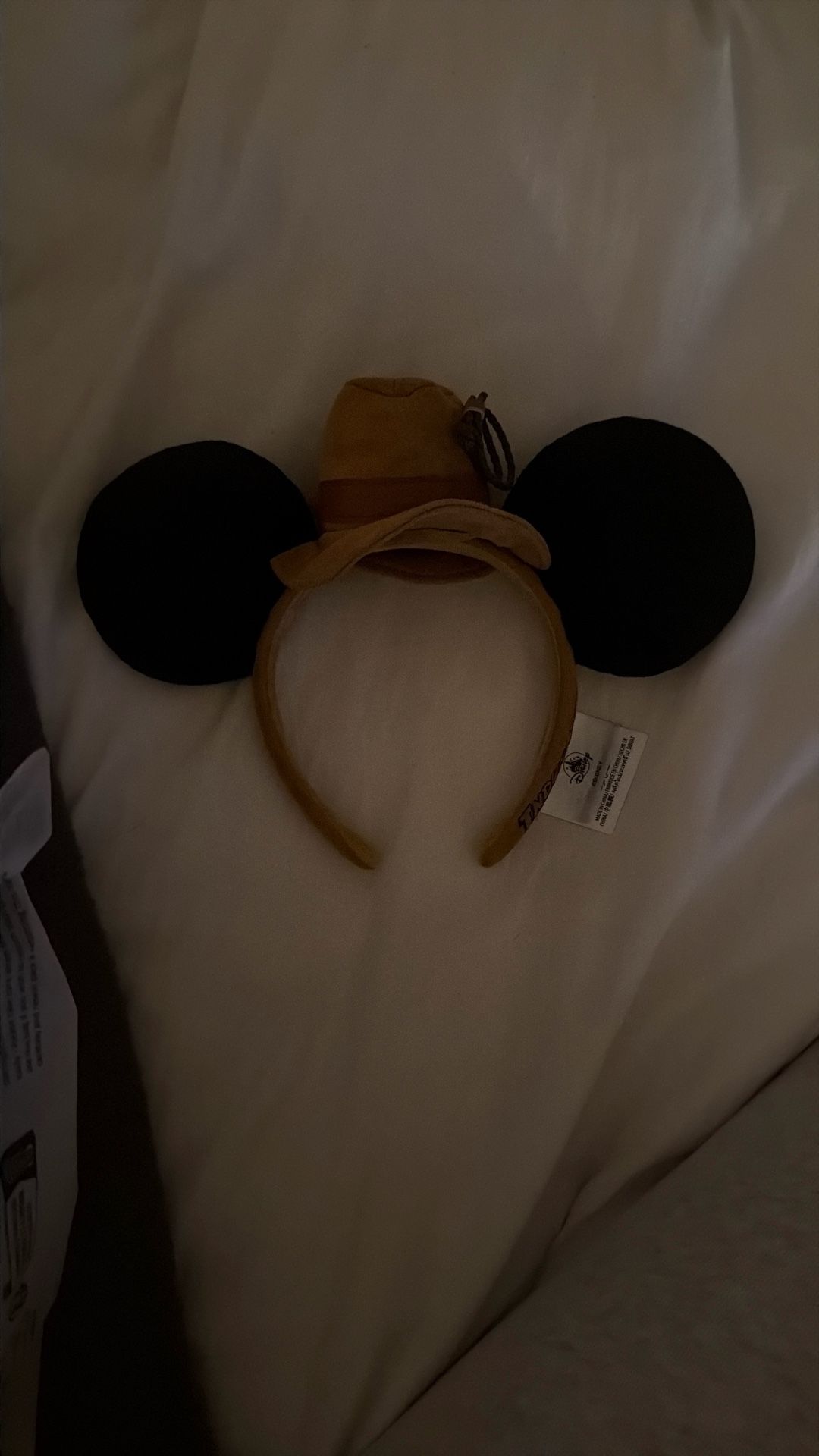 Disney Ears