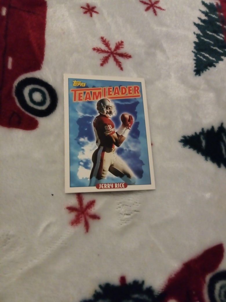 San Francisco 49ers Jerry Rice. Collectible