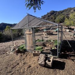 Dog Cage Kennel