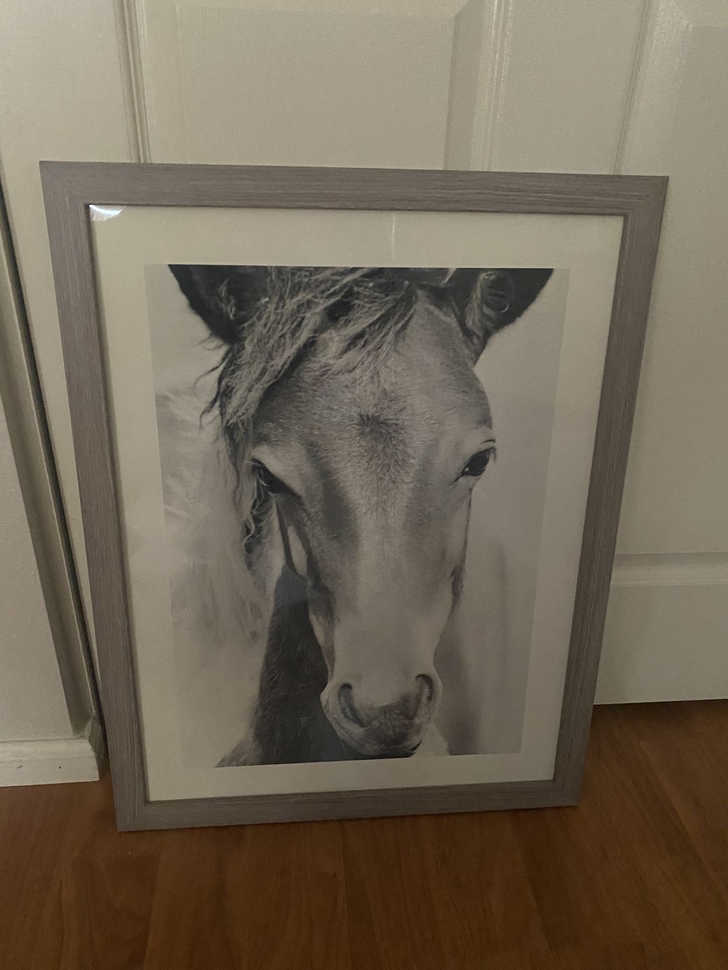 Large Foal Horse Wall Art Pottery Barn Kids Farmhouse Wood Frame