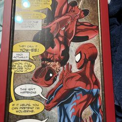 Framed Spider-Man Art 