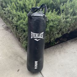 Everlast MMA Punching Bag 