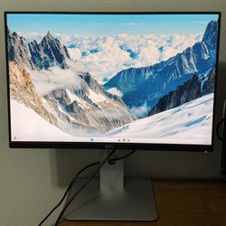 Dell 24 Inch Monitor