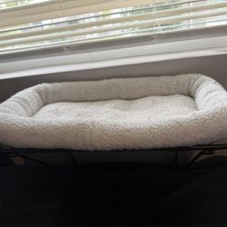 cat bed for window