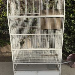 big bird cage 