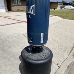 Punching Bag