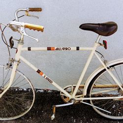 Vintage 70's Murray All Pro 3 Speed  Bike