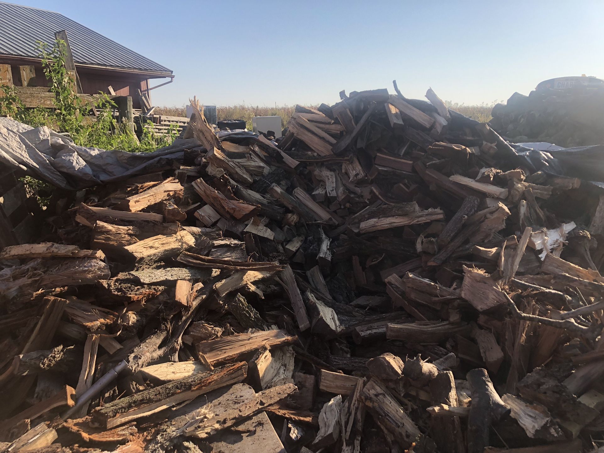 Firewood