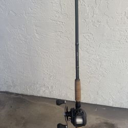 Daiwa Lexa 300 WN