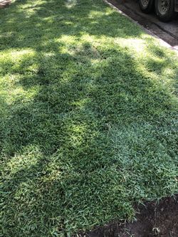 Sprinkler , Grass , Drain 