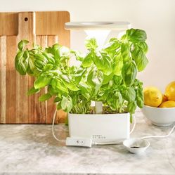 Short Stories Indoor Planter Pot With LED Light