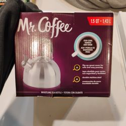 Small Tea Kettle 