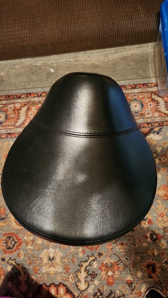 Dental Hygienist Saddle Stool...$55