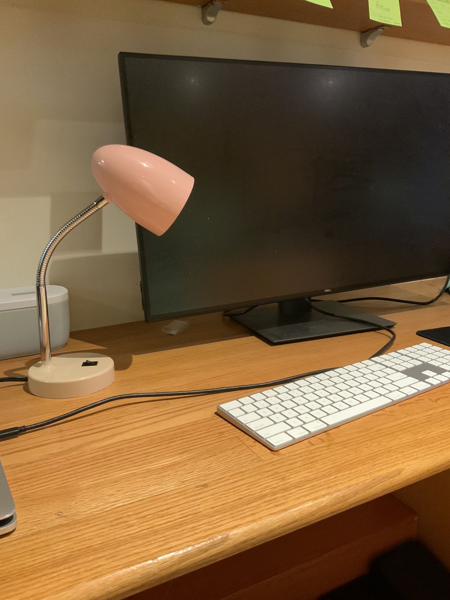 Baby Pink Desk Lamp