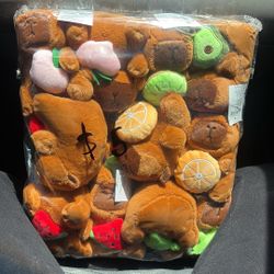 Capybara Plushie Keychain 