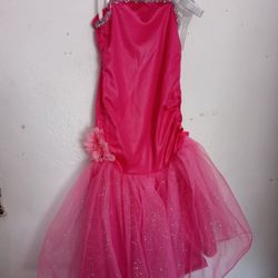 Halloween Costume Barbie Dress