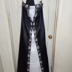 Vintage Homecoming/Prom Dress (Circa 2004)