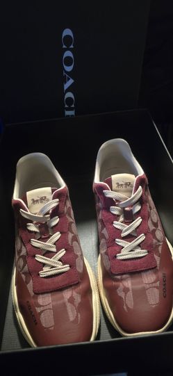 Sneaker Shoes