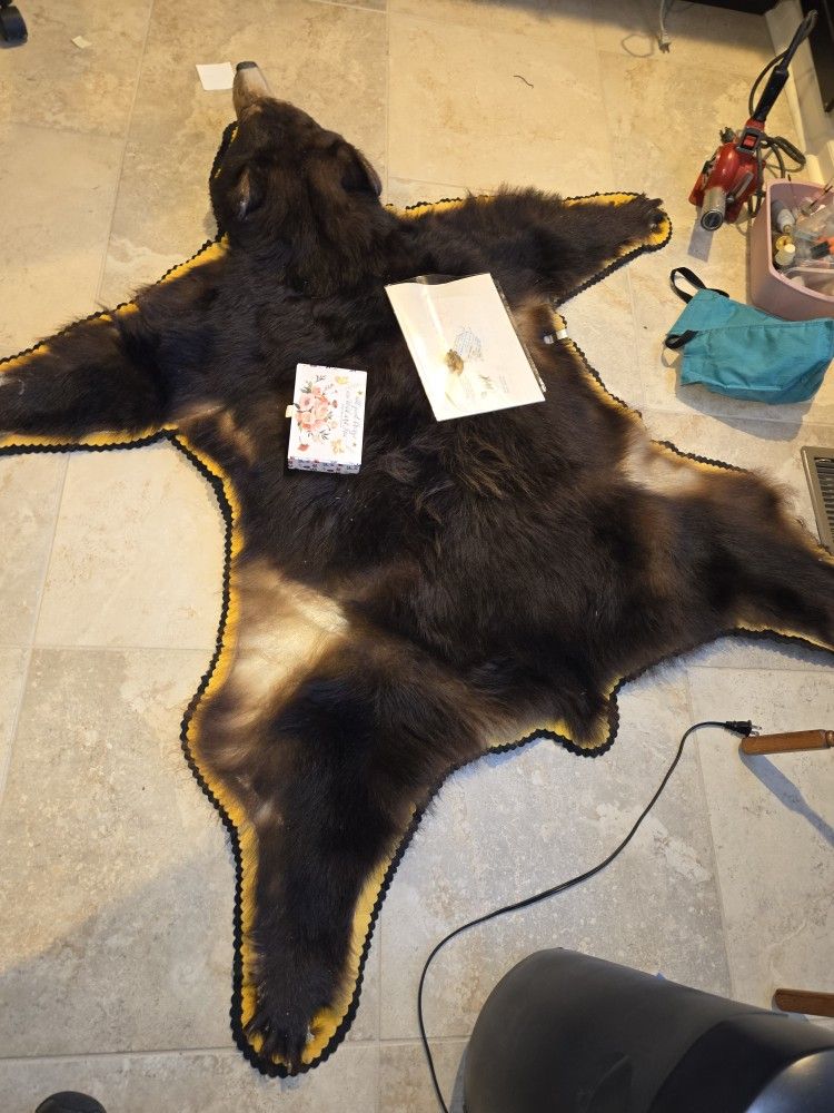 Bear Rug