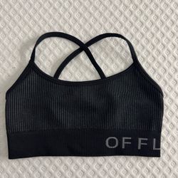 Aerie Sports Bra