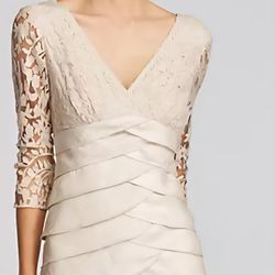 NWT Adrianna Papell Shimmer Shutter Tuck Lace Dress In Champagne