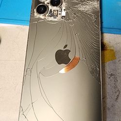 Iphone 13 Pro Rear Glass Broken 