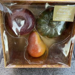 New NIB 3pc Holiday Fruit Candle Set Apple Pear Pumpkin Harvest Spice Scented 