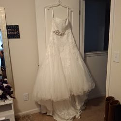 Size 12  David's Bridal Gown and veil