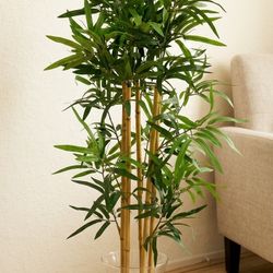 Faux Bamboo Silk Plant in Black Pot