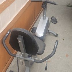 Recumbent Exercise Bike (Sunny Health & Fitness)