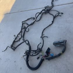 LS Harness