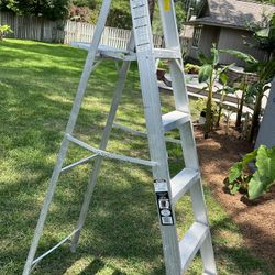 6 Foot Step Ladder