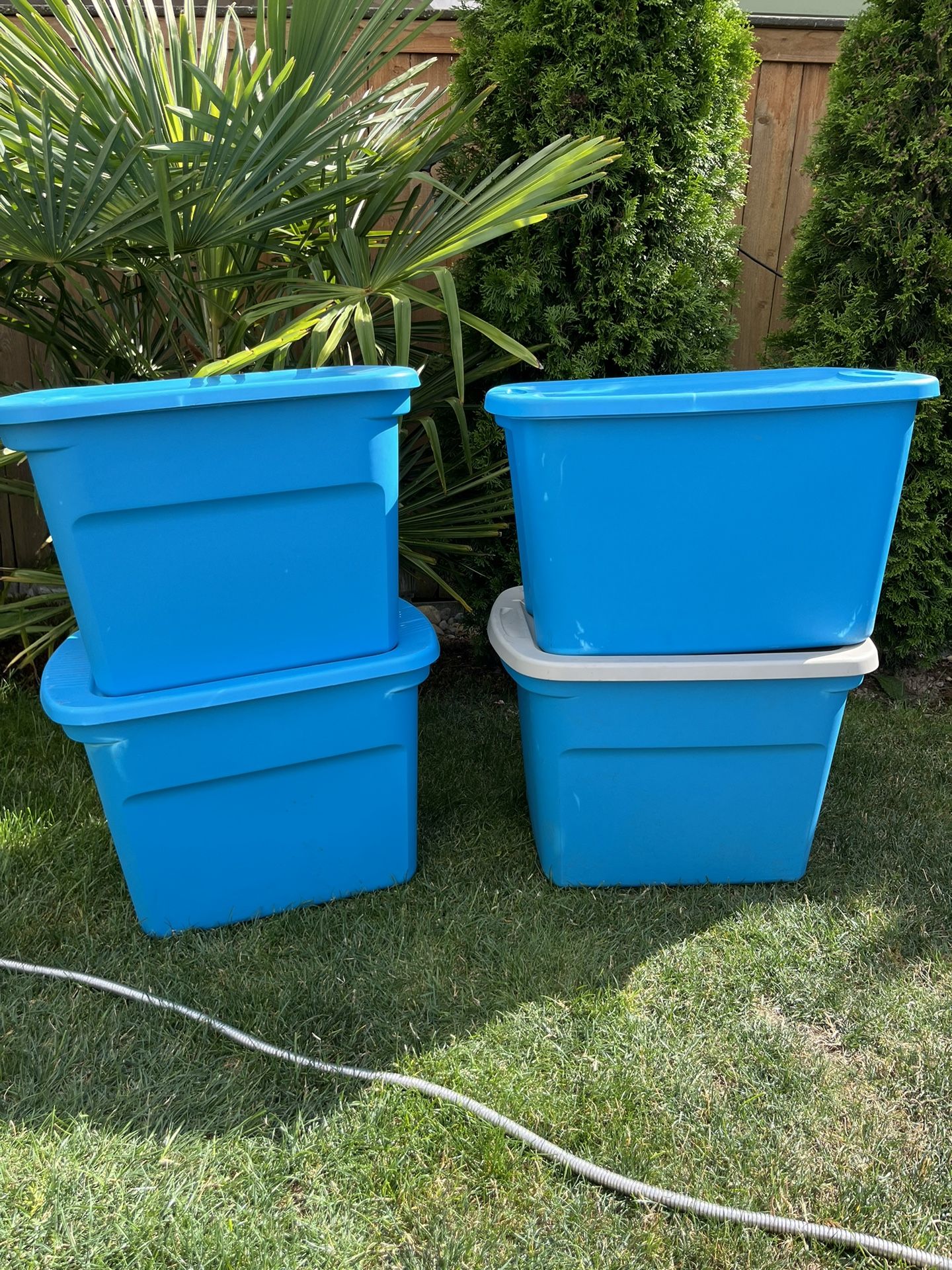 Sterilite 18 Gallon Tubs/totes/ Storage Containers