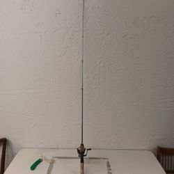 Zebco 202 Rod And Reel