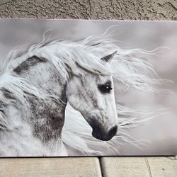 Horse Picture- Greys And White