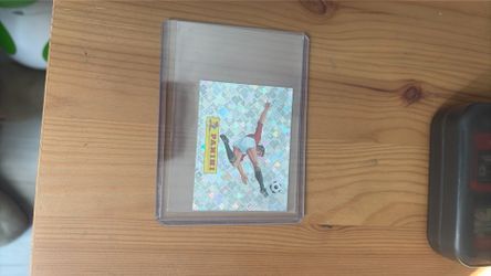 Panini sticker