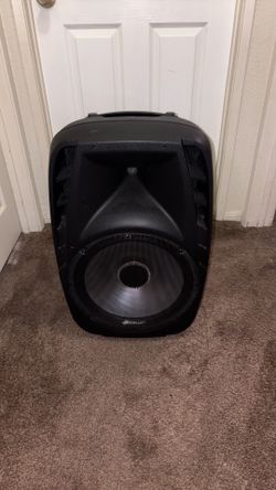 Sonart 15” PA Speaker