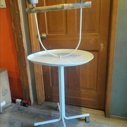 Bird Perch Stand