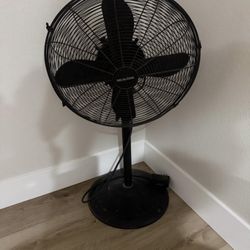 fan