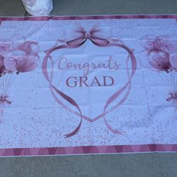 Pink Graduation Party  Decorations 