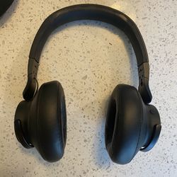 Muzik headphones