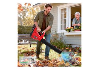 Cordless Leaf Blower 4.0Ah: Lightweight Handheld Blower 21V Low-Voice for Yard Cleaning, Home Garden and Daily Maintenance(Firm price