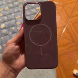 beats by dre 16 pro max case