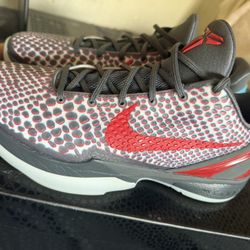 Kobe 6 Hollywood size 11