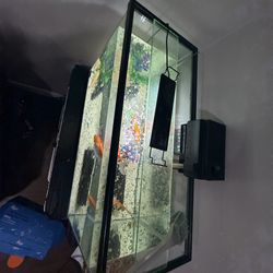 Fish Tank