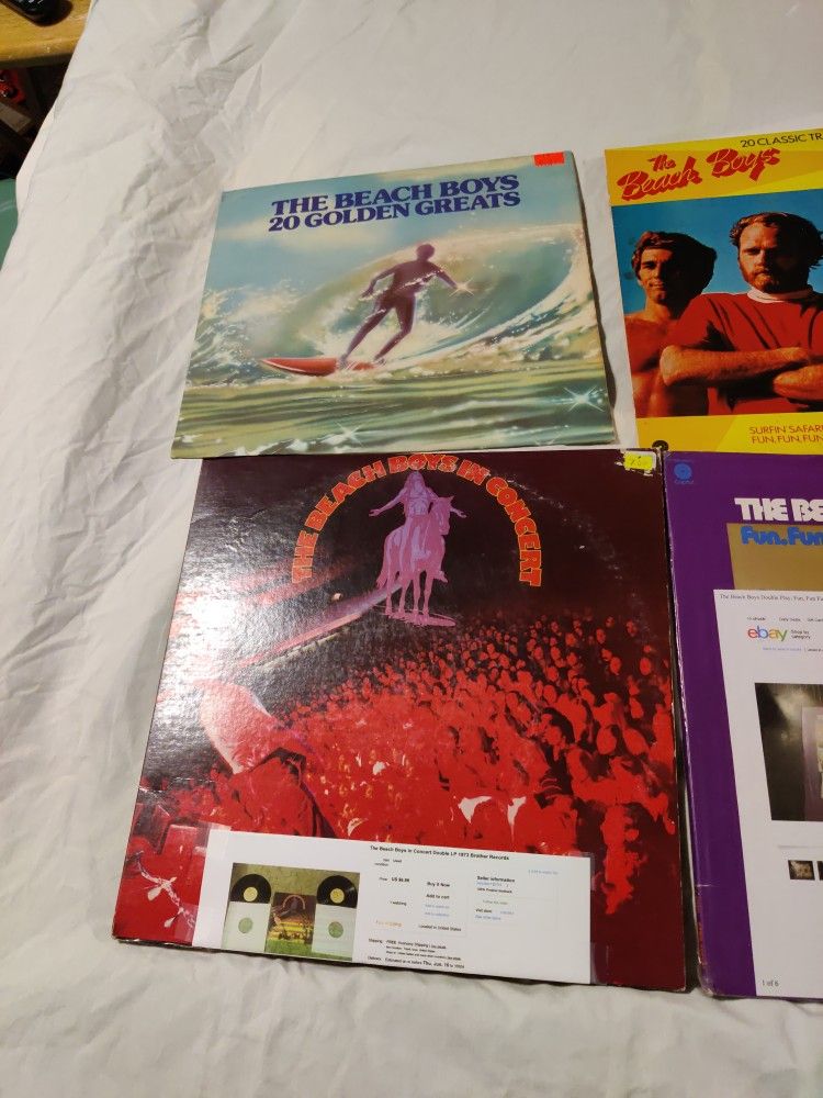 10 Beach Boys Vinyl Albums.