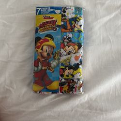 Boys New Toddler Briefs 4t
