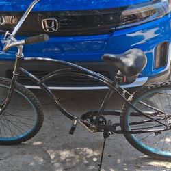 Beach Cruiser 