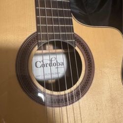 Cordoba Nylon Acoustic